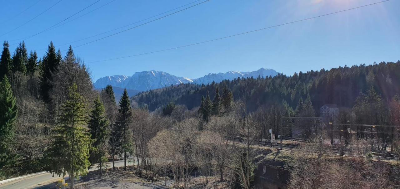 Pensiunea Alpin Predeal Extérieur photo
